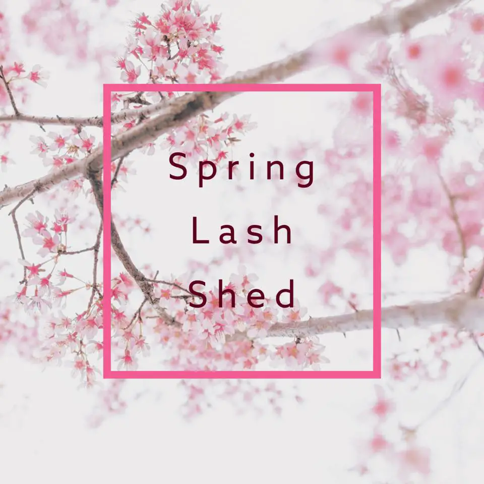 Hang in there Primpers! If your lashes are dropping like cherry blossoms it’s not your fault