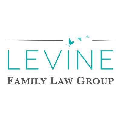 Business logo of Levine Family Law Group