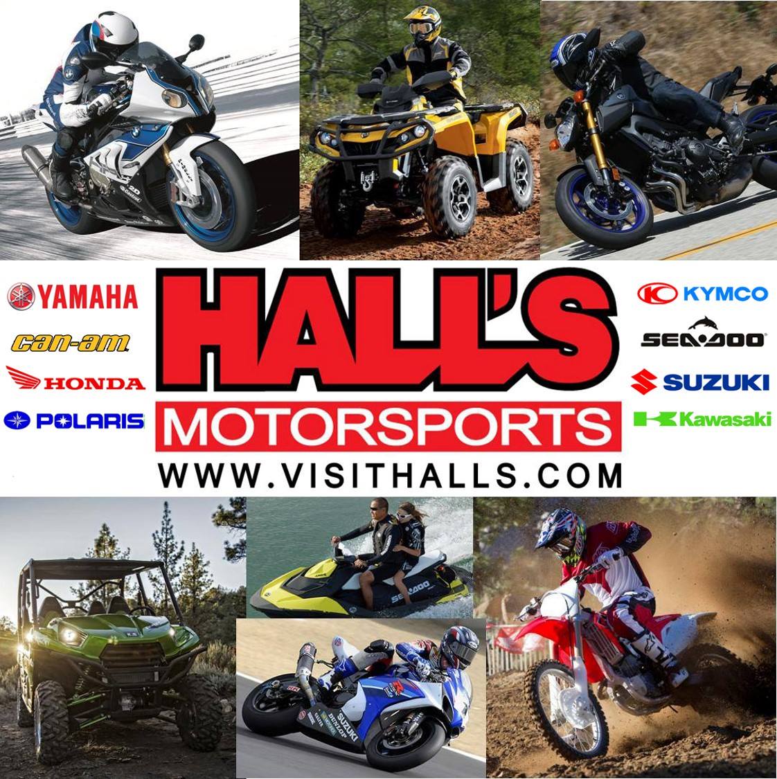 Business logo of Hall's Motorsports Trussville