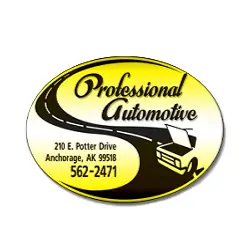 Business logo of Professional Automotive
