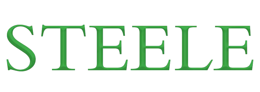 Business logo of Steele Asset Management