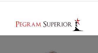 Company logo of Pegram Superior Insurance Agency
