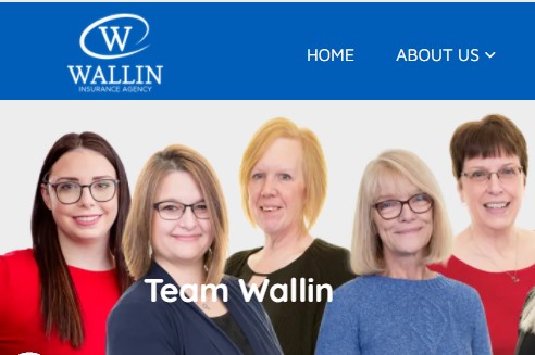 Business logo of Wallin Insurance Agency Inc.