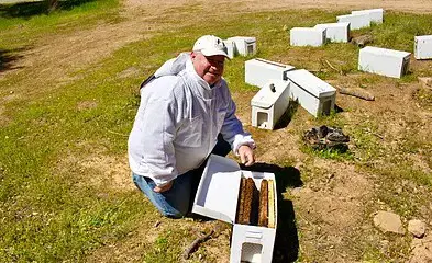 Orange County Beekeeping Supply