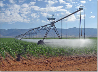 American Irrigation Systems