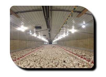 Smith Poultry Alabama a Poultry Supply & Hardware Service Center
