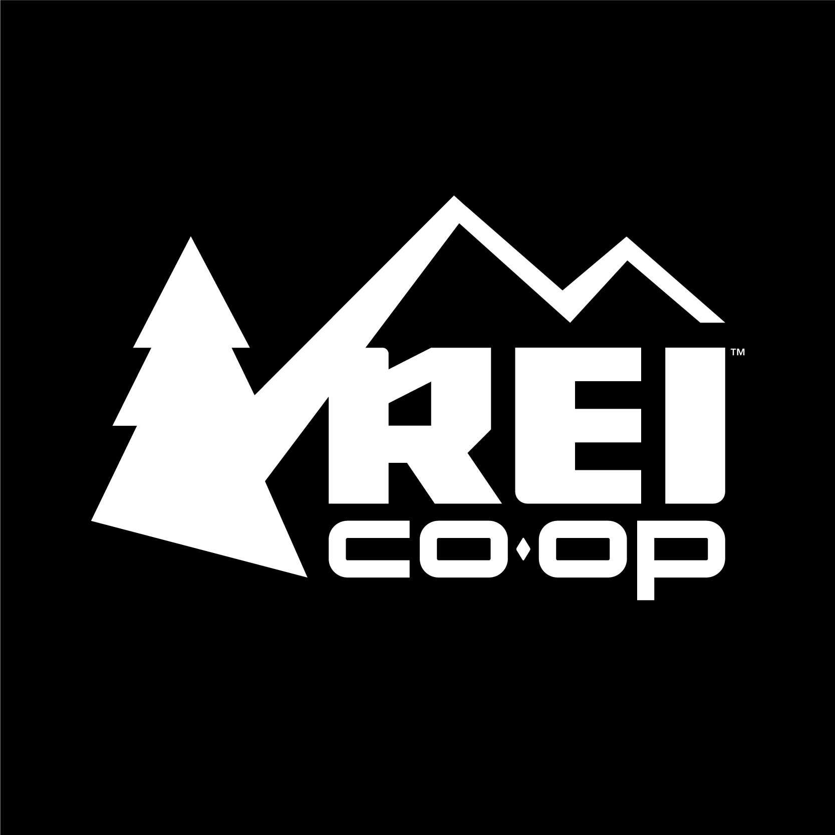 Company logo of REI