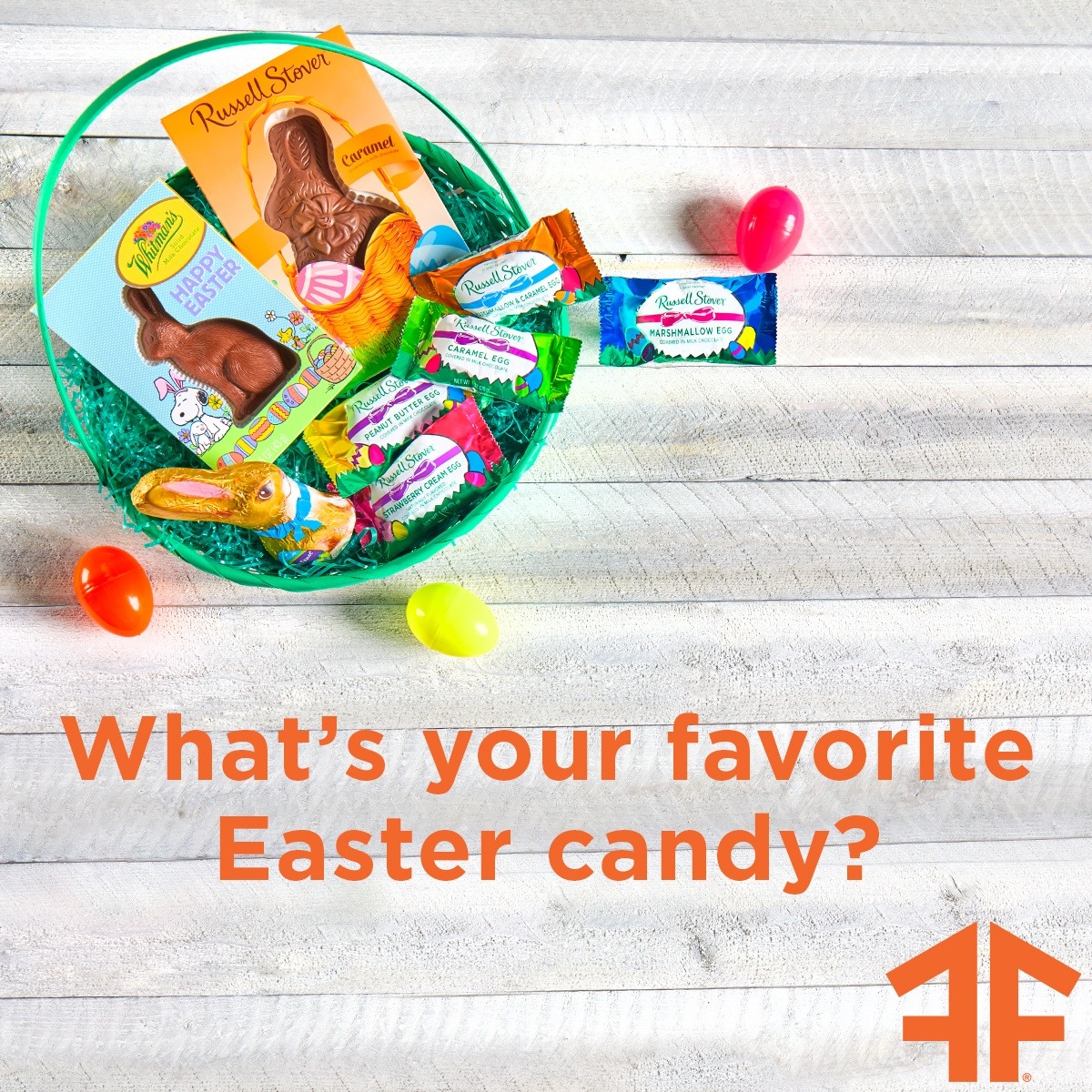 We all have our favorite. 🐰 Which ONE of these do you love the most