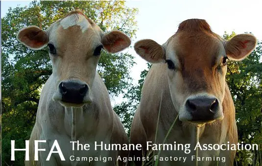 Company logo of Humane Farming Association