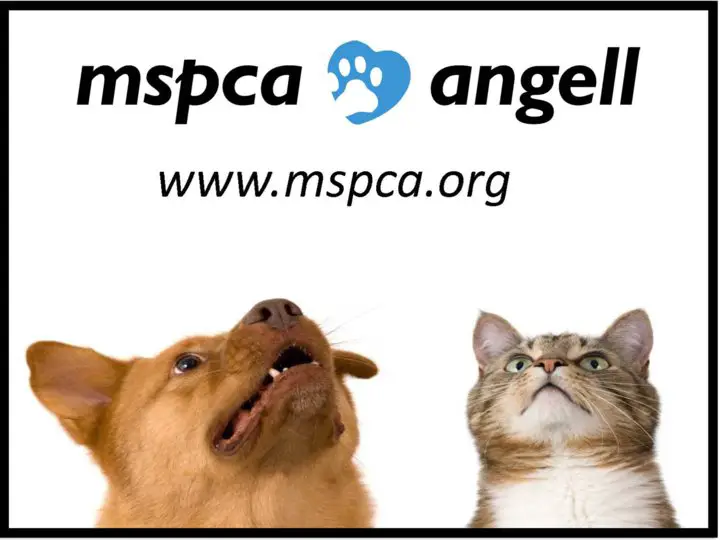 Business logo of MSPCA at Nevins Farm