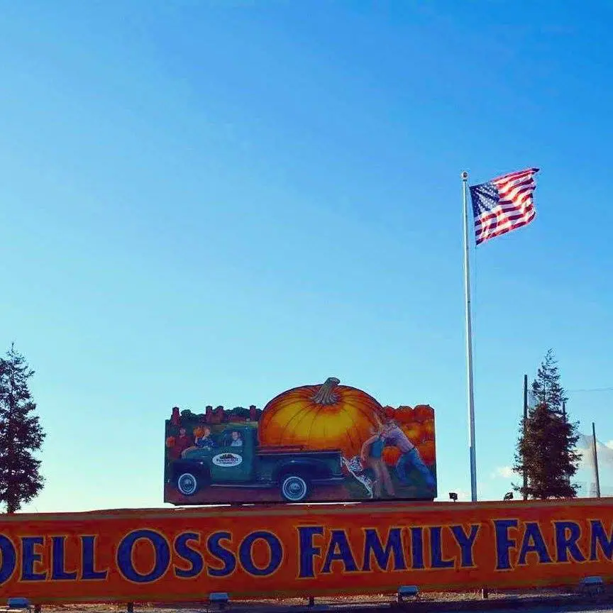 Dell'Osso Family Farm