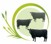 Business logo of Halal Pastures Farm