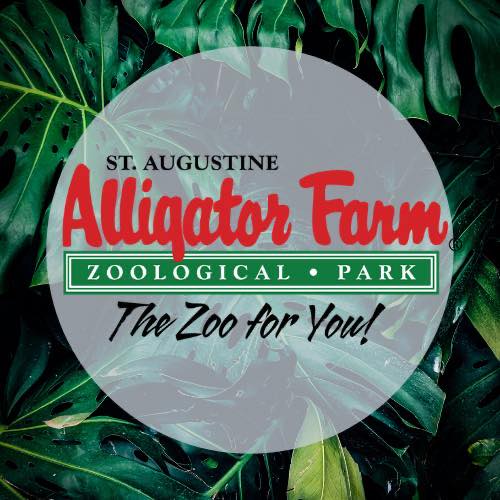 Company logo of St. Augustine Alligator Farm Zoological Park