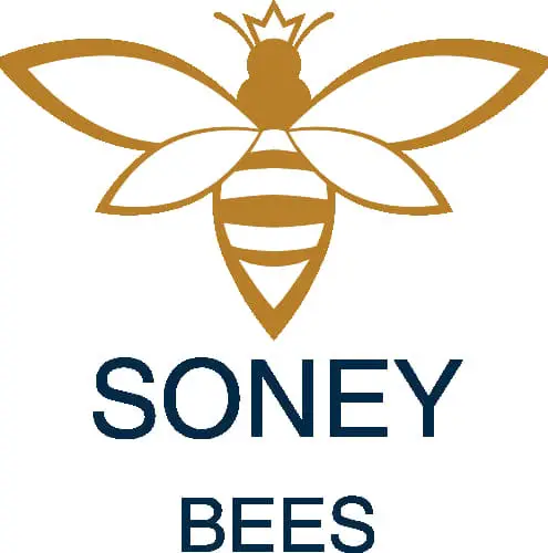 Business logo of Soney Bees LLC