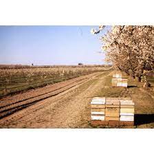 Blue Ridge Honey Company