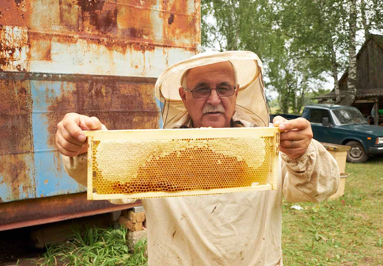 Valentin's Honey Farm