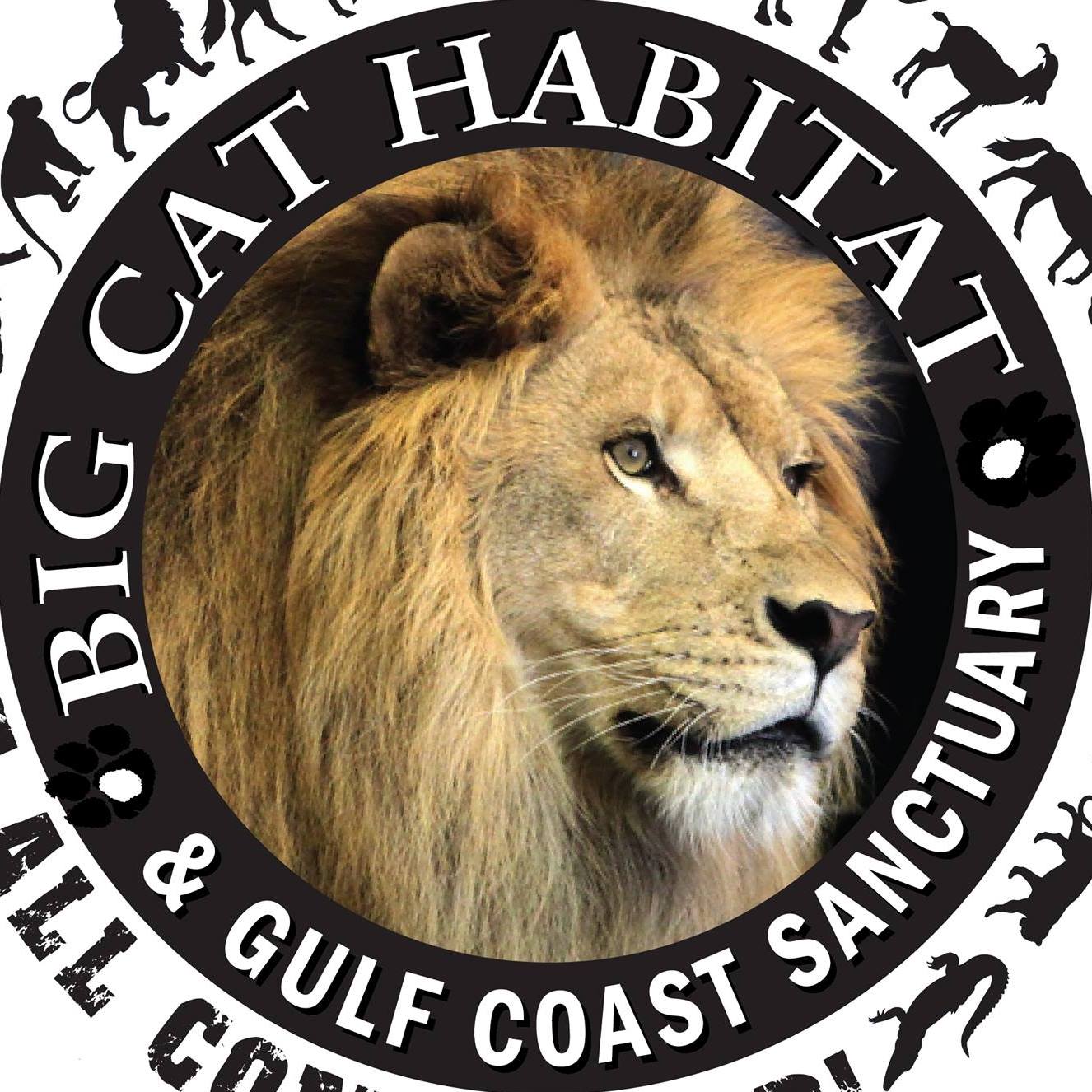 Business logo of Big Cat Habitat Gulf Coast Sanctuary