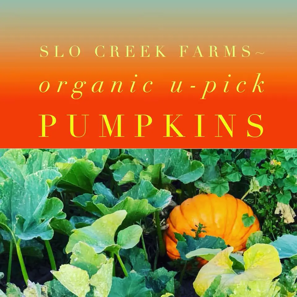 SLO Creek Farms