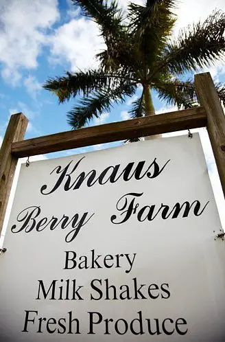 Business logo of Knaus Berry Farm