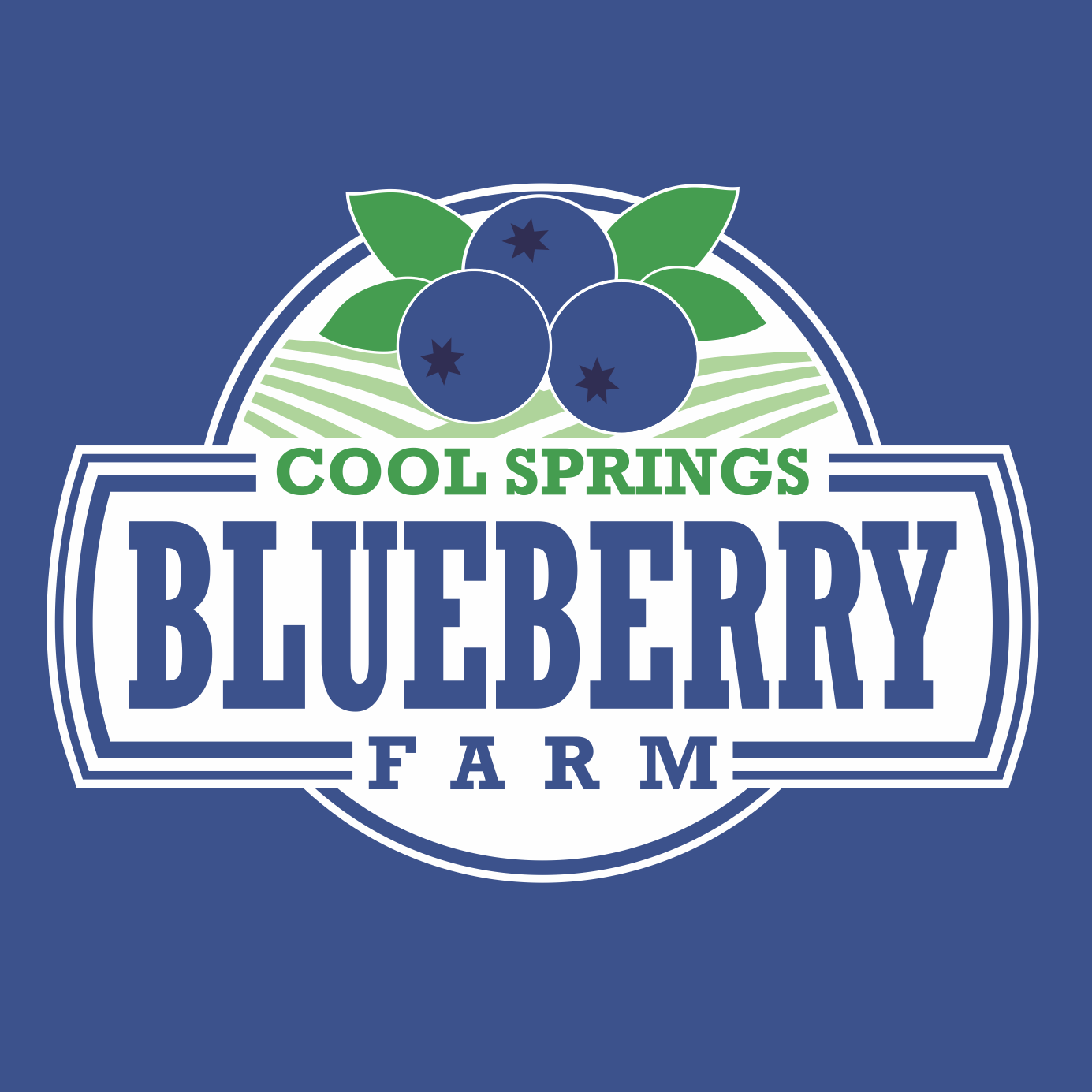 Company logo of Cool Springs Blueberry Farm