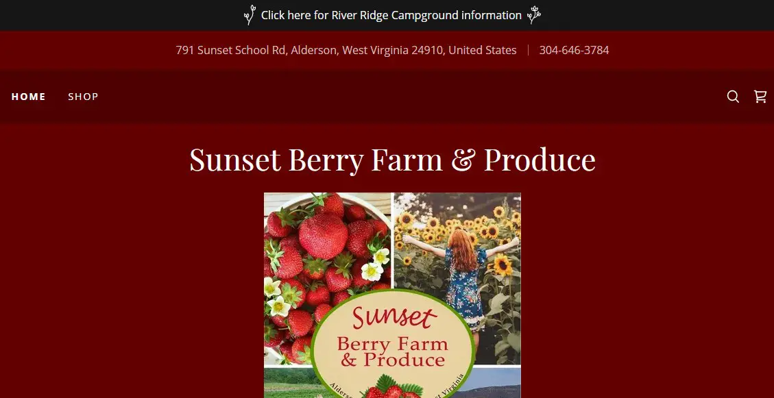 Business logo of Sunset Berry Farm & Produce