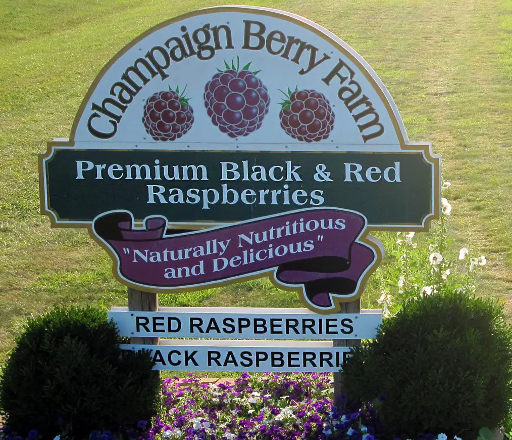 Business logo of Champaign Berry Farm