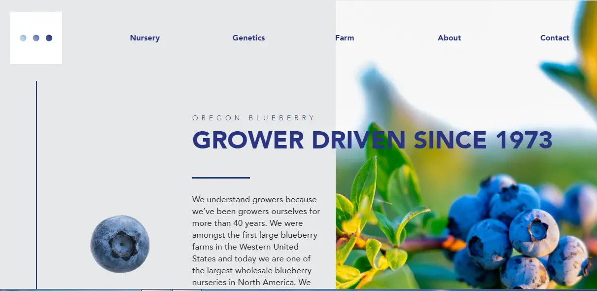 Business logo of Oregon Blueberry Farms & Nursery