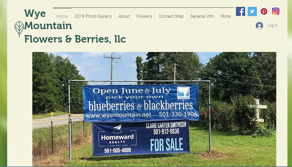Business logo of Wye Mountain Flowers & Berries, LLC