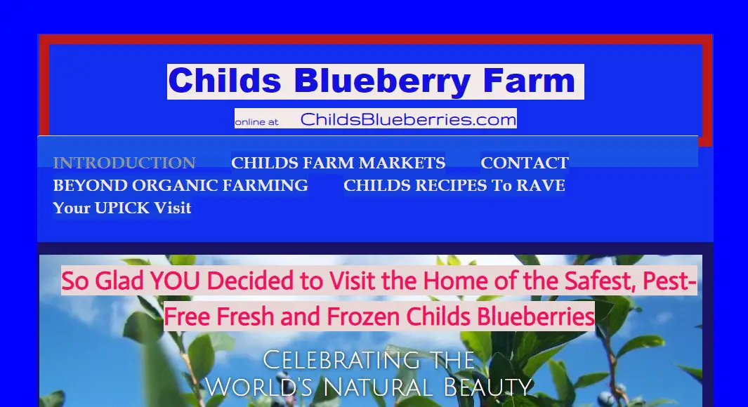 Business logo of Childs Blueberry Farm