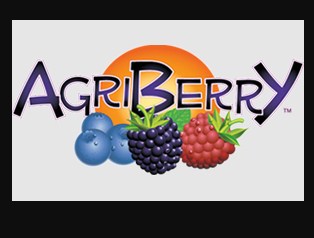 Business logo of Agriberry Farm and CSA