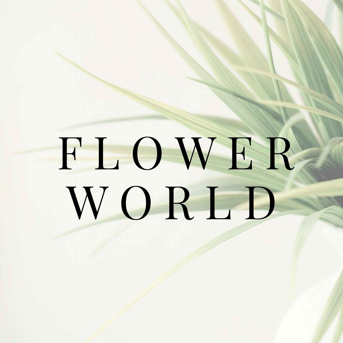 Company logo of Flower World