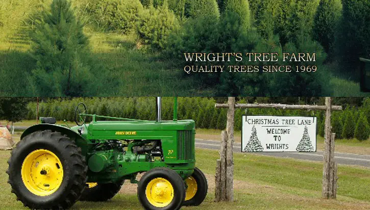 Company logo of Wright's Tree Farm