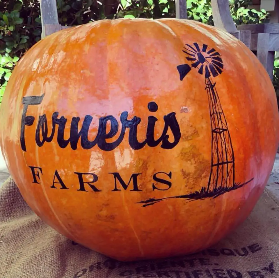 Company logo of Forneris Farms