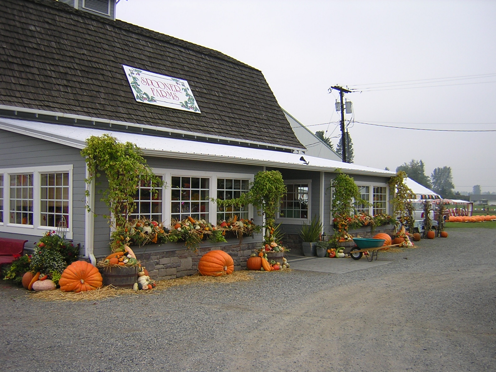 Spooner Farms Retail Berries and Pumpkin Patch
