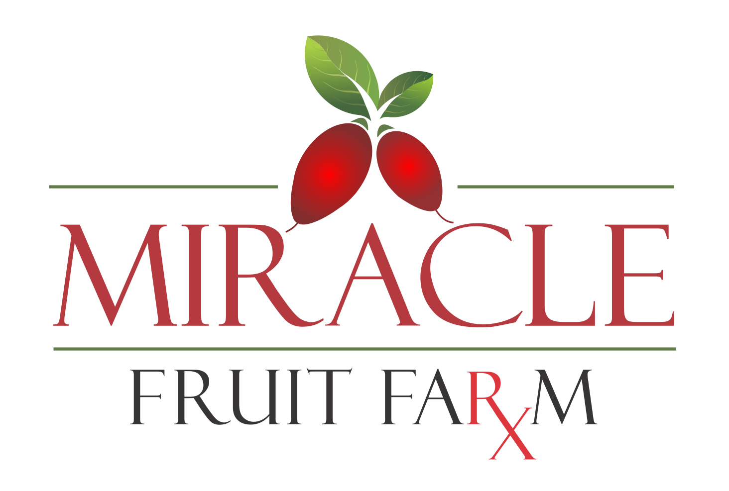 Business logo of Miracle Fruit Farm
