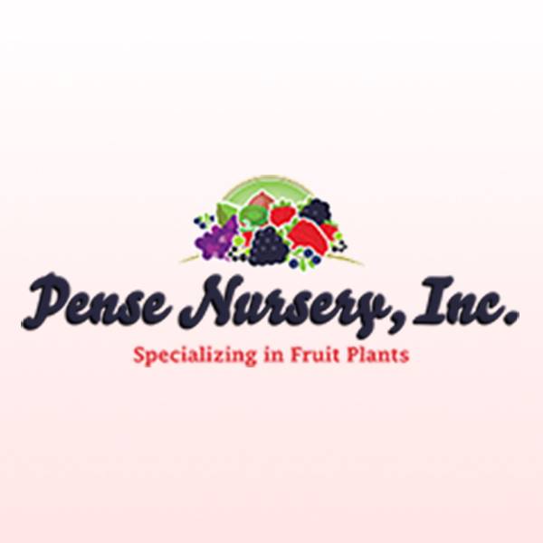Company logo of Pense Nursery