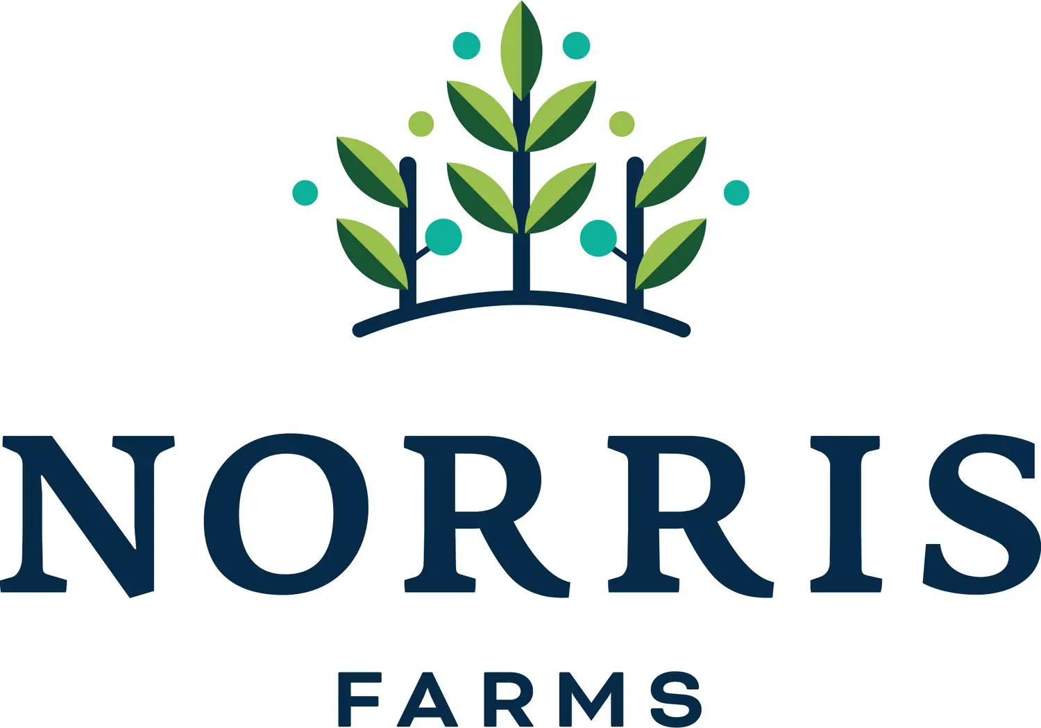 Business logo of Norris Blueberry Farms