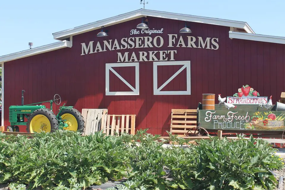 The Original Manassero Farms Market - Irvine