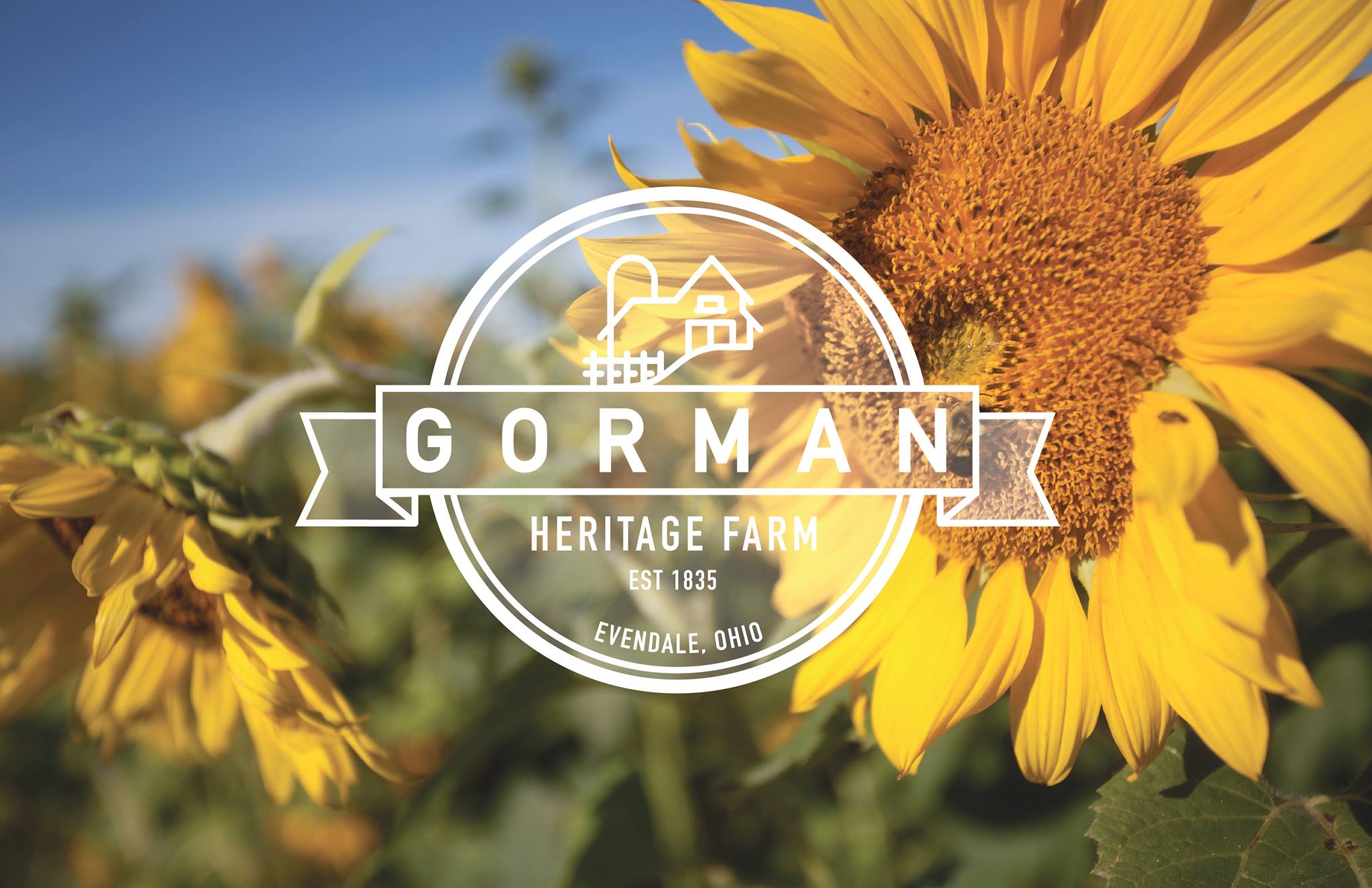 Business logo of Gorman Heritage Farm