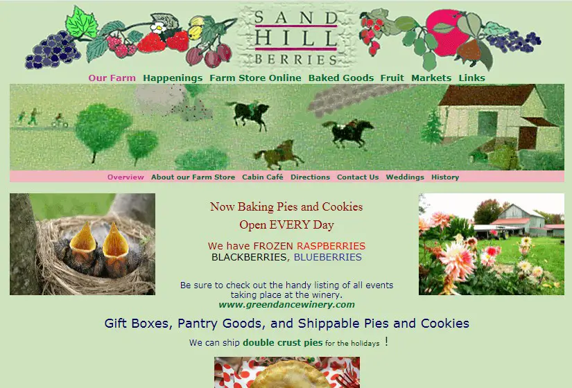 Business logo of Sand Hill Berries