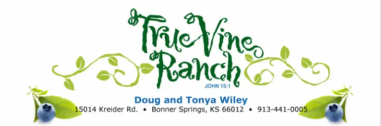 Company logo of True Vine Ranch