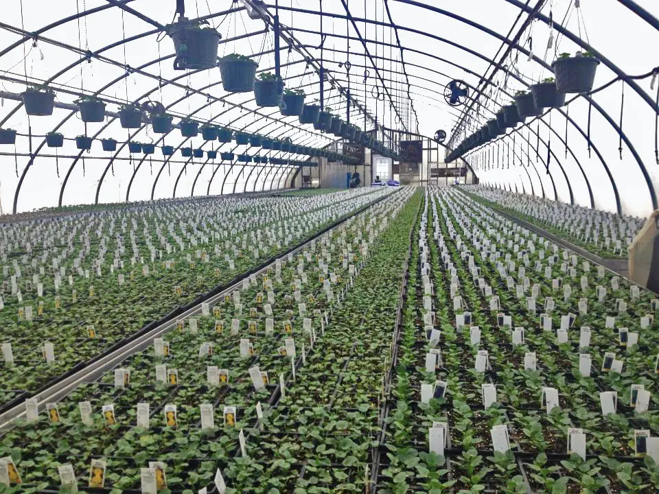 Confreda Greenhouses & Farms