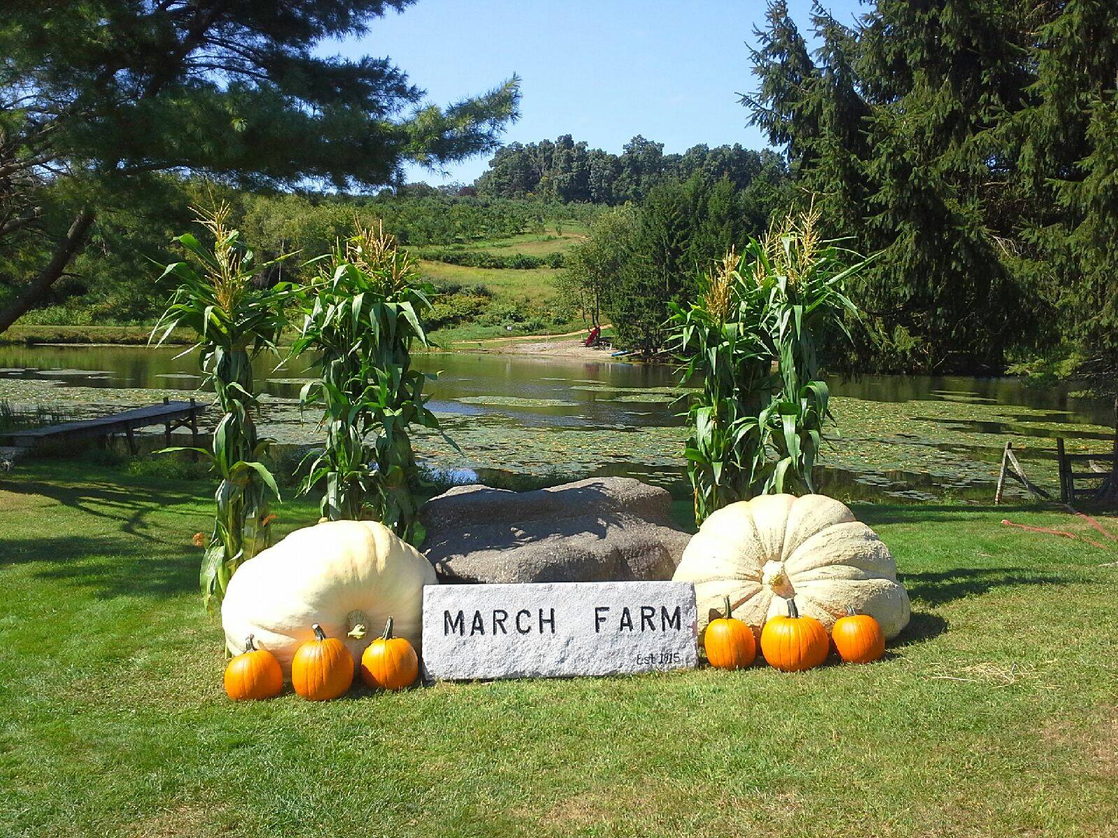 March Farm