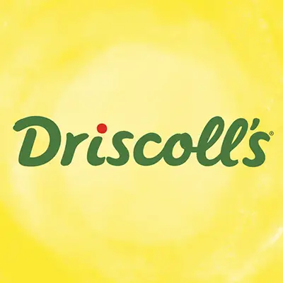 Company logo of Driscoll Strawberry