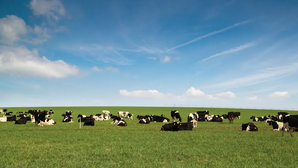 Natural Prairie Dairy Farms