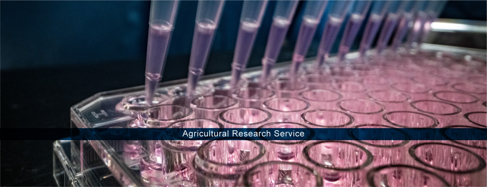 US Agricultural Research Services