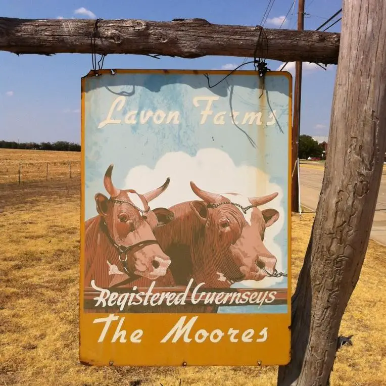 Company logo of Lavon Farms