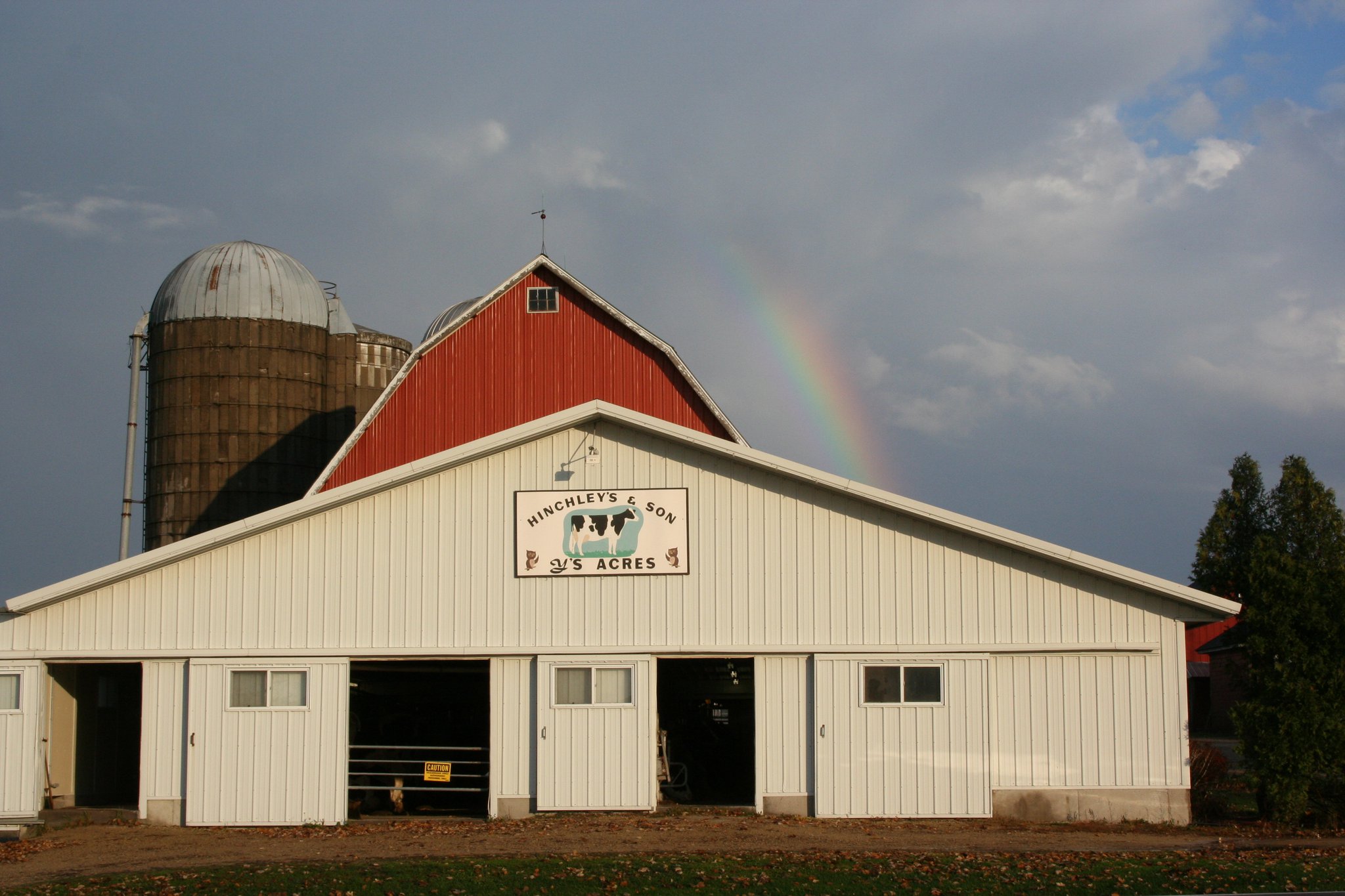 Hinchley's Dairy Farm Tours