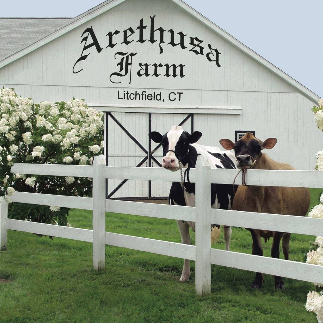 Business logo of Arethusa Farm Dairy