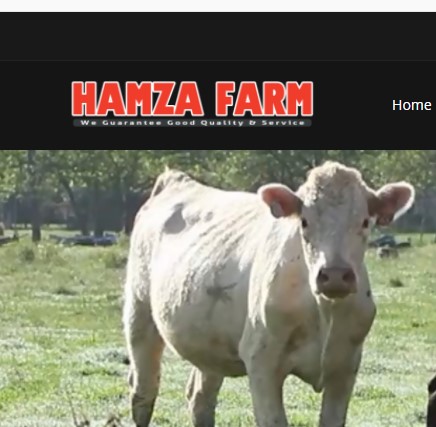 Business logo of Hamza Farm